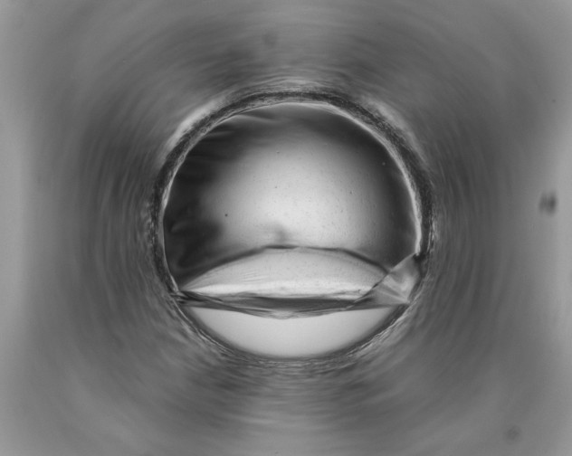 X0000089951210200707271832