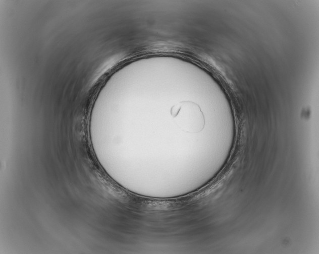 X0000089951211200707271833