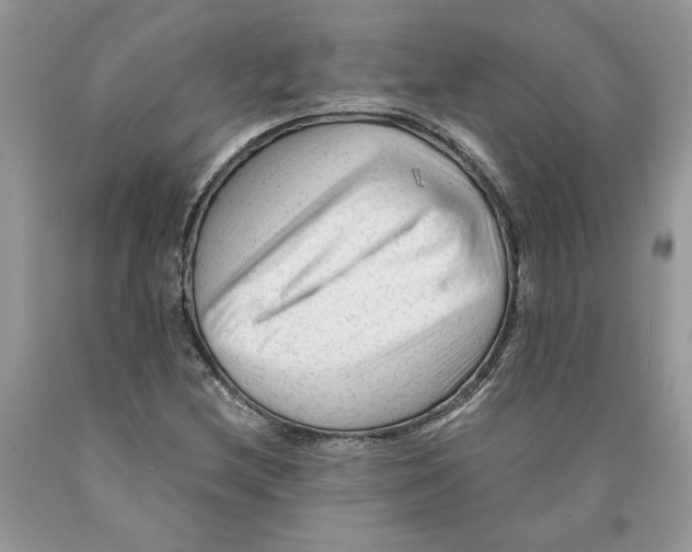 X0000089951212200707271833