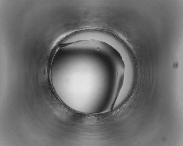 X0000089951214200707271833