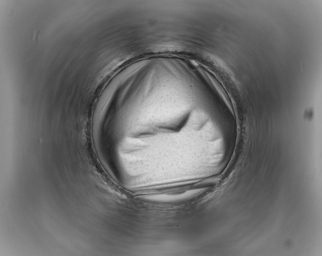 X0000089951217200707271833