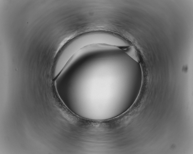 X0000089951218200707271833