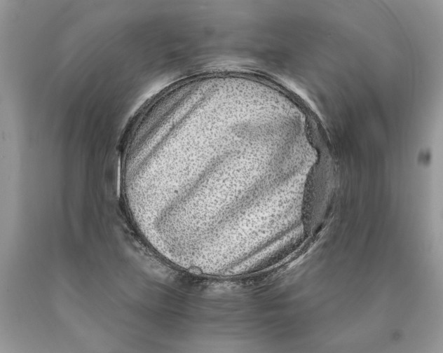 X0000089951219200707271833