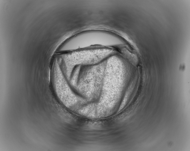 X0000089951221200707271833