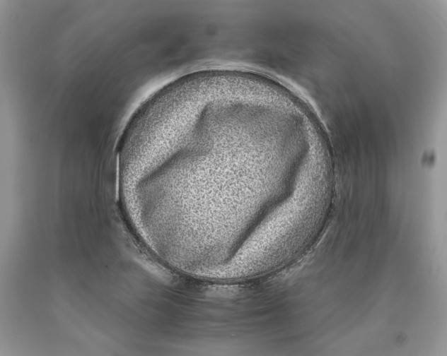 X0000089951223200707271833