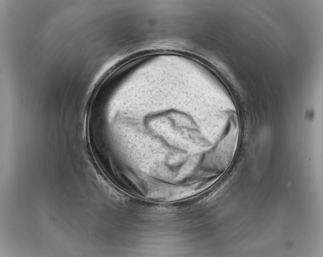 X0000089951224200707271833