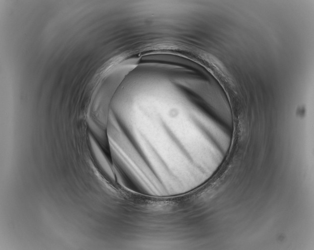 X0000089951225200707271833