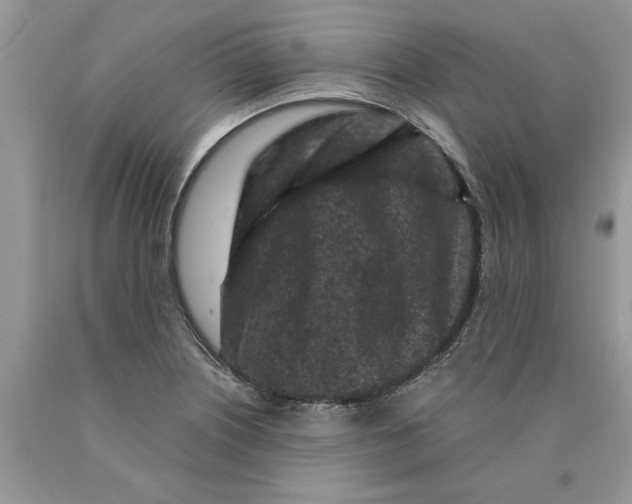 X0000089951226200707271833