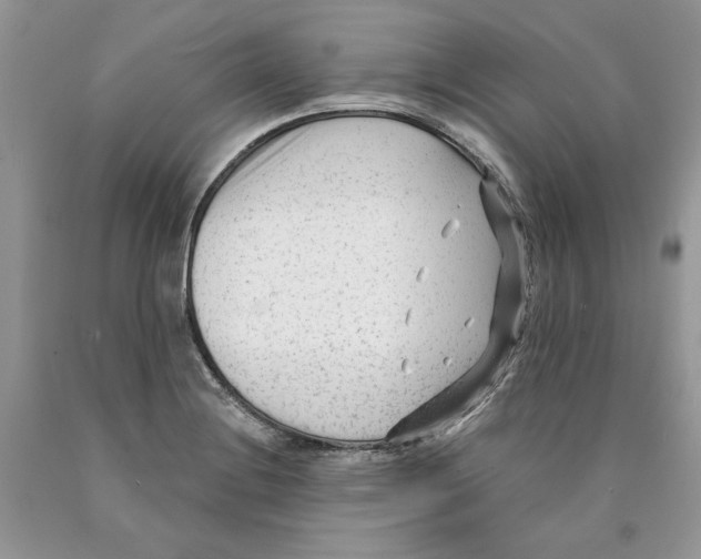 X0000089951228200707271833