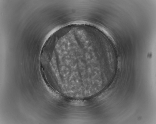 X0000089951229200707271833