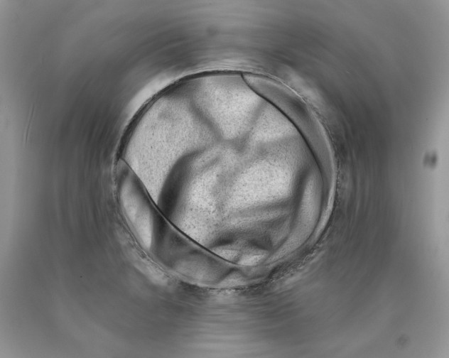 X0000089951230200707271833