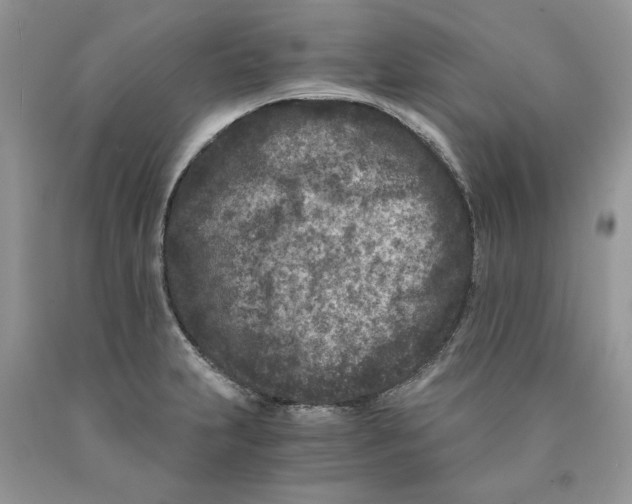 X0000089951231200707271833