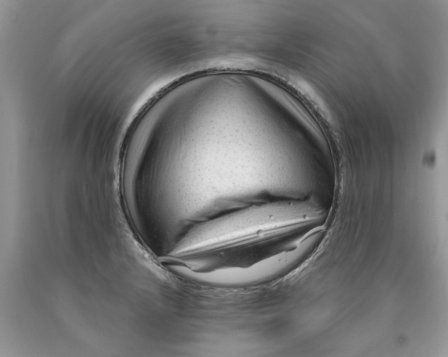 X0000089951232200707271833