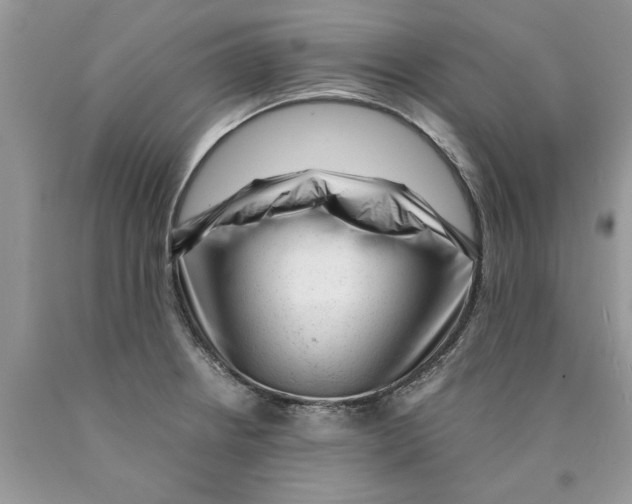 X0000089951234200707271833