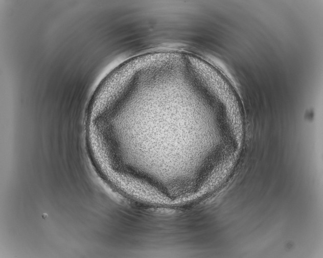 X0000089951235200707271833