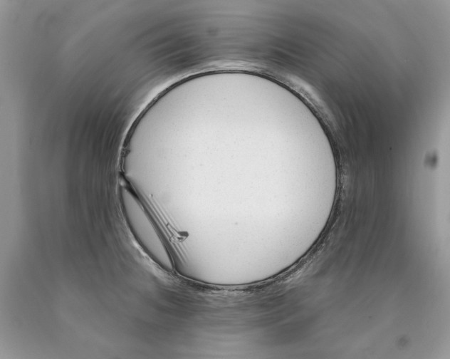 X0000089951236200707271833