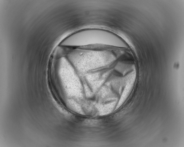 X0000089951237200707271833