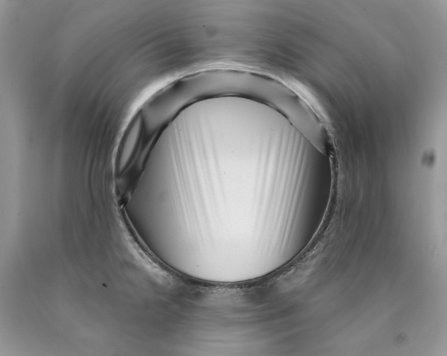 X0000089951238200707271833