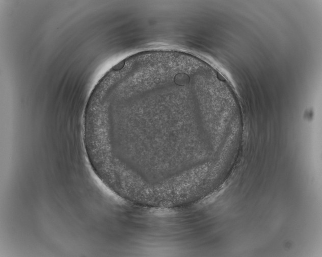 X0000089951239200707271833