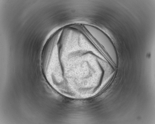 X0000089951240200707271833