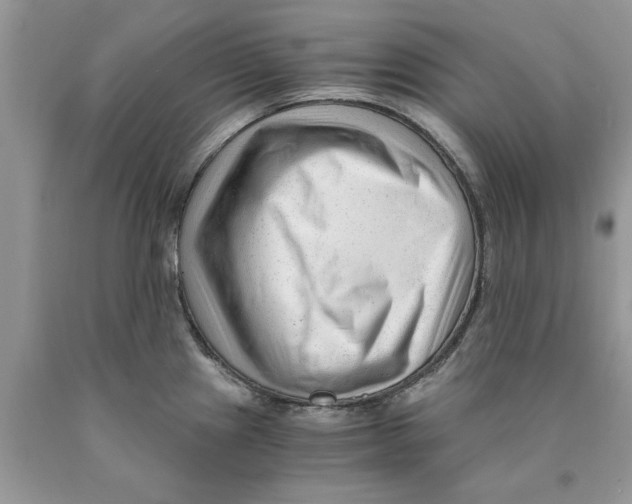 X0000089951241200707271833