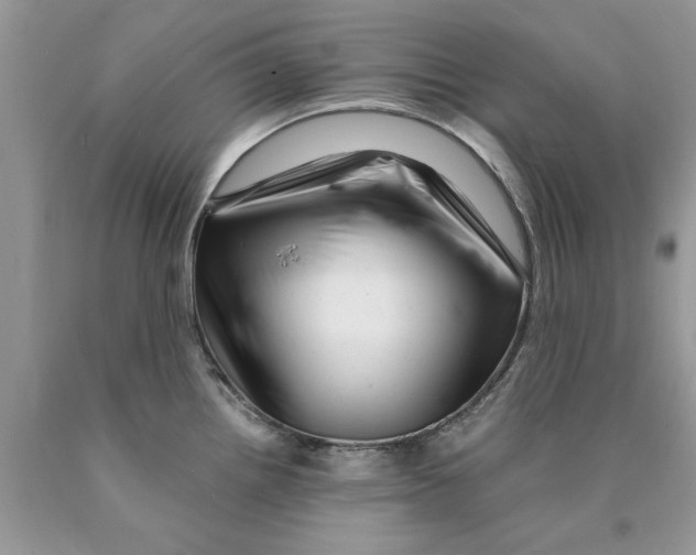 X0000089951242200707271833