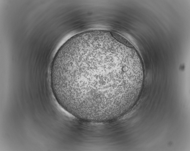 X0000089951243200707271833