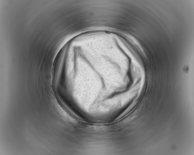 X0000089951244200707271833