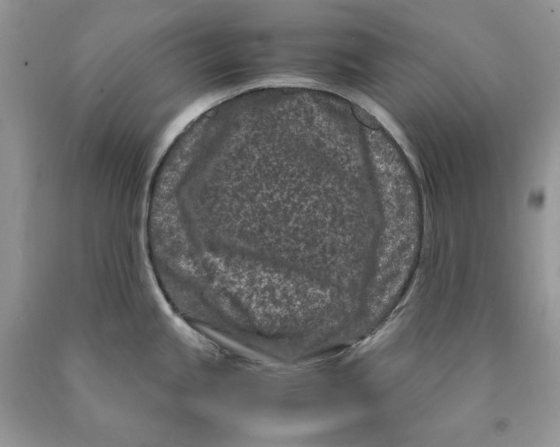 X0000089951245200707271833