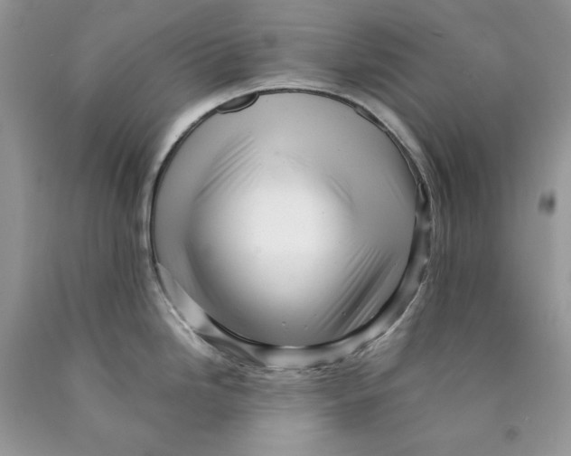 X0000089951246200707271833