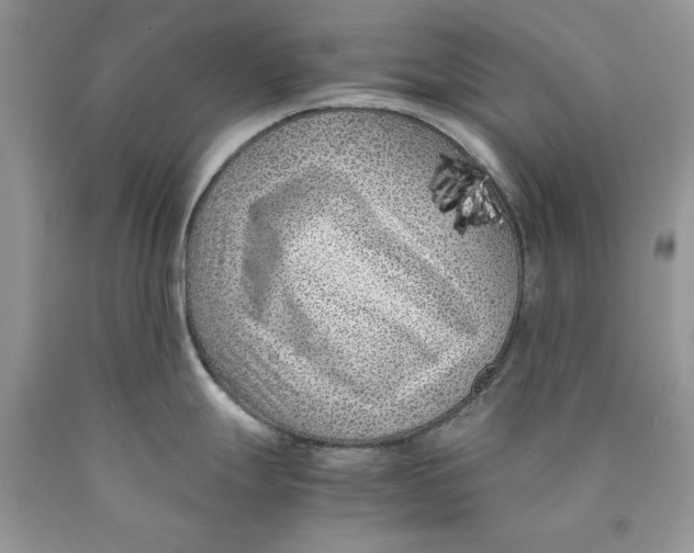 X0000089951247200707271833