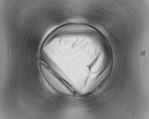 X0000089951248200707271833