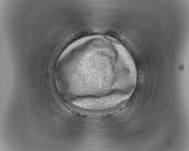 X0000089951249200707271832