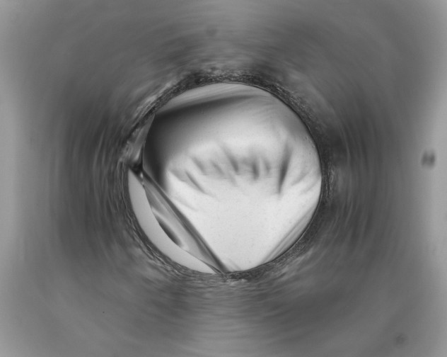 X0000089951250200707271832