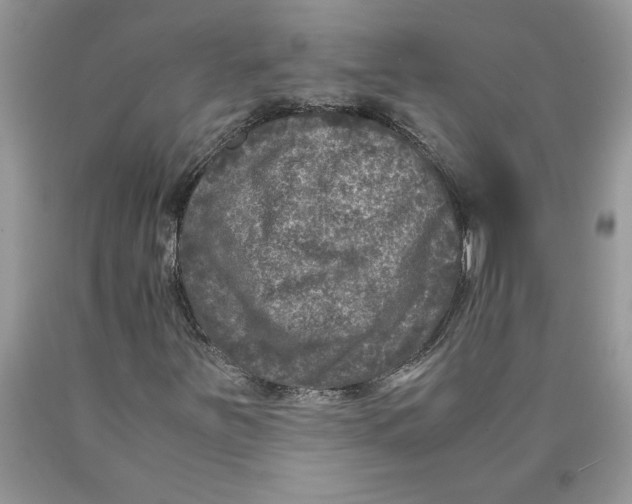 X0000089951251200707271832