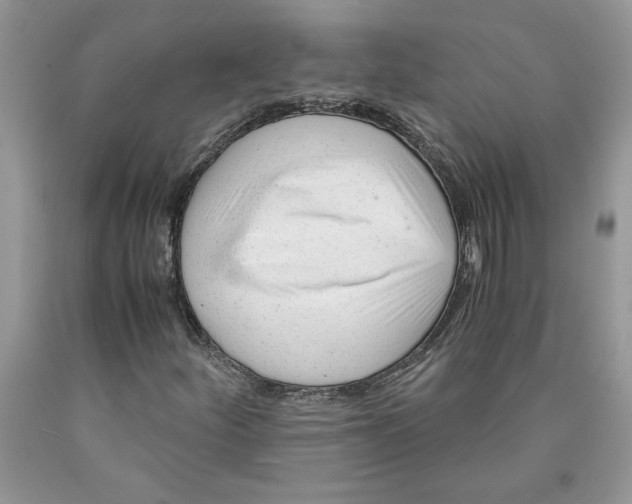 X0000089951252200707271832