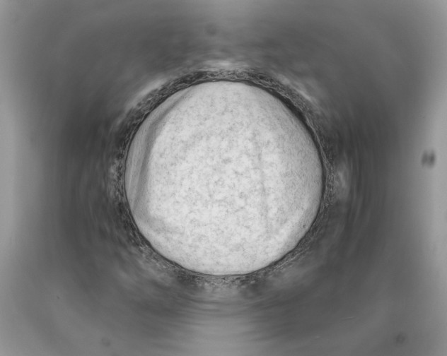 X0000089951254200707271832