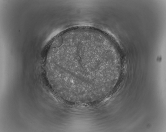 X0000089951255200707271832