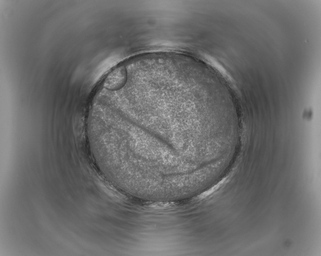 X0000089951259200707271832