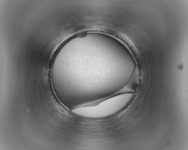 X0000089951260200707271832