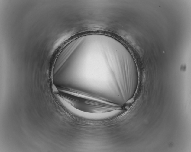 X0000089951261200707271832