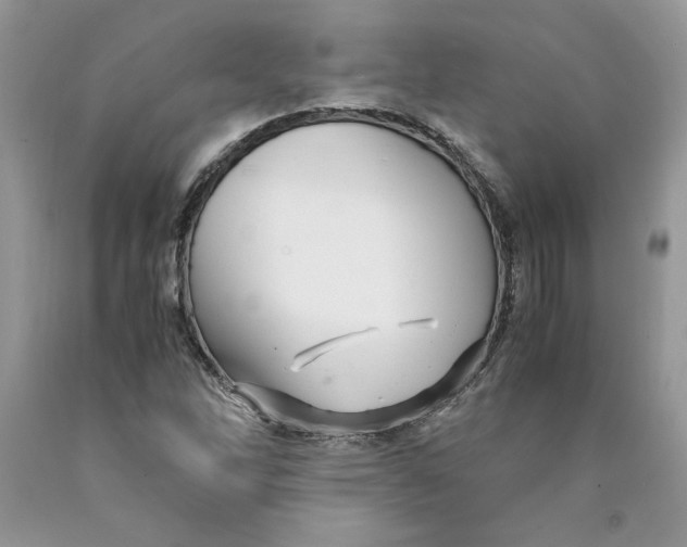 X0000089951262200707271832