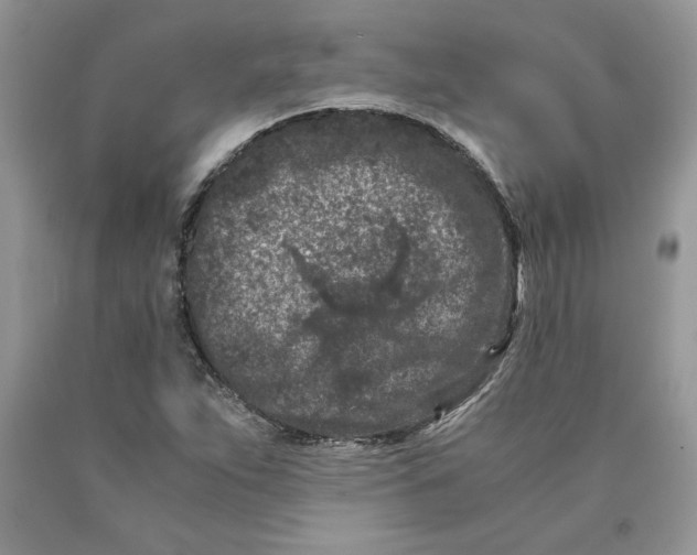 X0000089951263200707271832