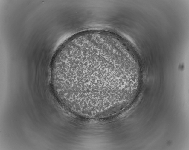 X0000089951267200707271832