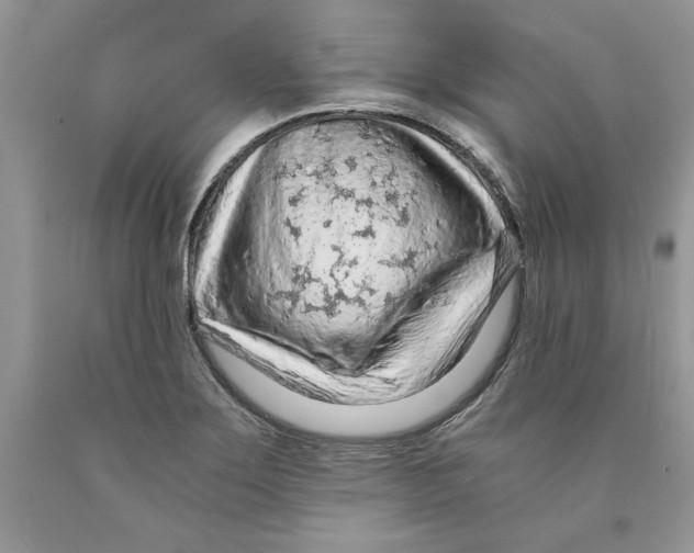 X0000089951275200707271832