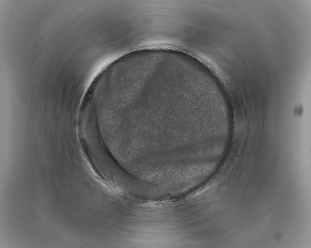 X0000089951277200707271832