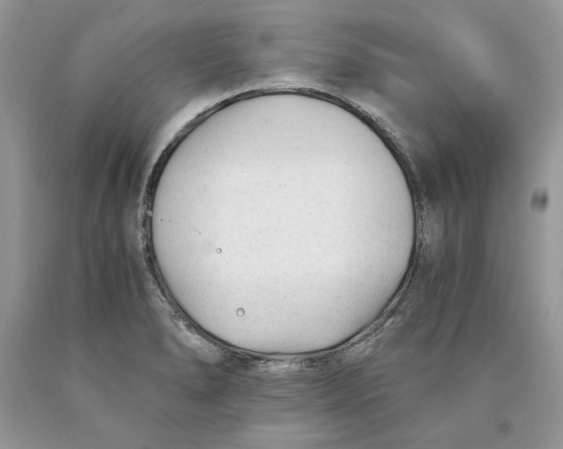 X0000089951278200707271832