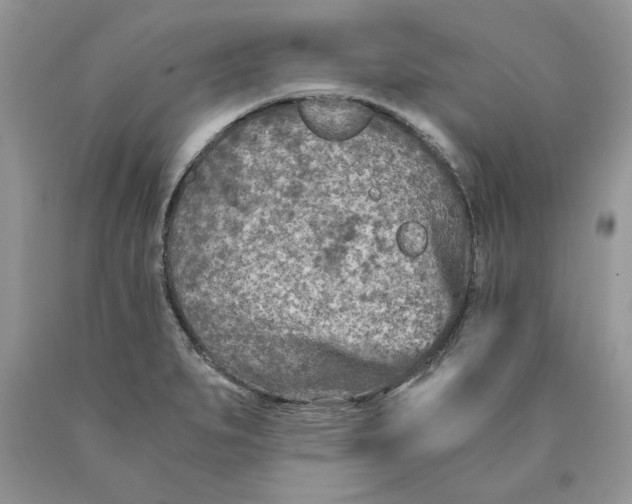 X0000089951279200707271832