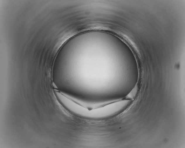 X0000089951281200707271832