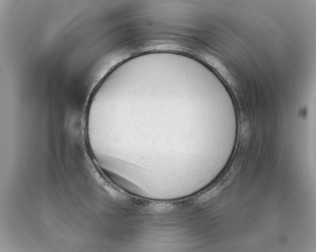 X0000089951282200707271832